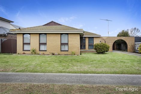 20 Myrtle Gr, North Shore, VIC 3214