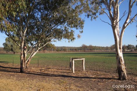 Property photo of 12921 Gwydir Highway Warialda NSW 2402