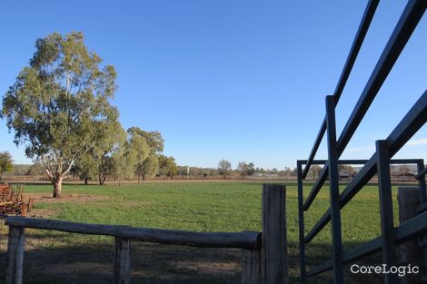 Property photo of 12921 Gwydir Highway Warialda NSW 2402