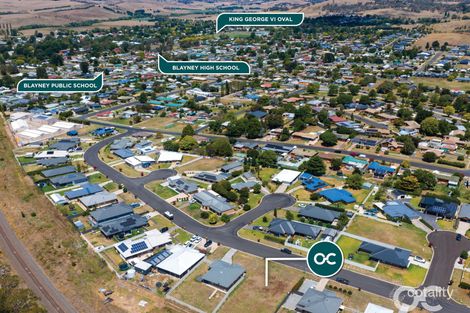 Property photo of 30 Johnston Crescent Blayney NSW 2799