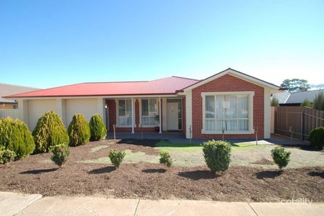 Property photo of 1 Ridgeway Avenue Enfield SA 5085
