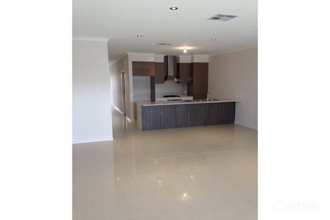 Property photo of 14 Palmer Street Lightsview SA 5085