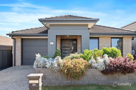 Property photo of 25 Dandenong Avenue Redbank Plains QLD 4301