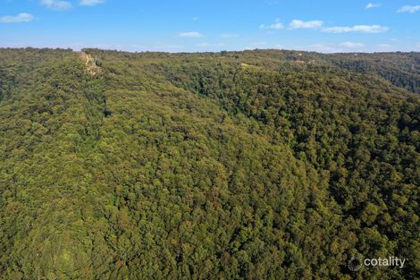 Property photo of 172 Bumble Hill Road Yarramalong NSW 2259