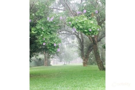 Property photo of 46 Kintyre Street Brookfield QLD 4069