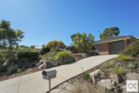 Property photo of 14 Wandilla Street Seaview Downs SA 5049