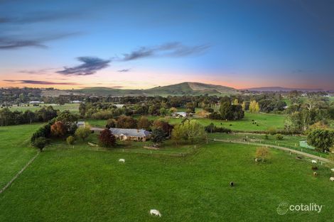 323 Mt Buller Rd, Mansfield, VIC 3722