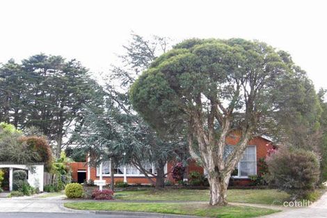 Property photo of 13 Norray Avenue Mount Waverley VIC 3149