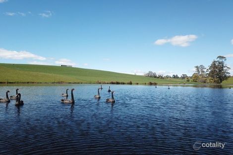 99 Lottah Rd, Natone, TAS 7321