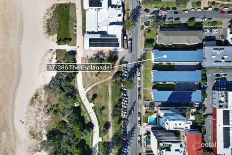 37/286 The Esplanade, Miami, QLD 4220