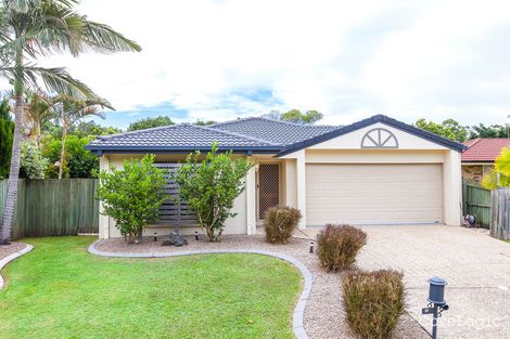 Property photo of 32 Satinwood Place Mountain Creek QLD 4557