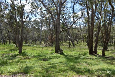 Property photo of 259 Wonga Roo Road Bungaba NSW 2852