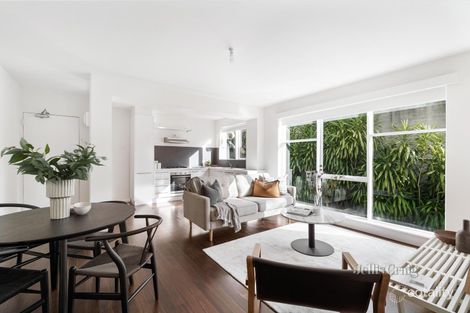 3/41 Murray St, Prahran, VIC 3181