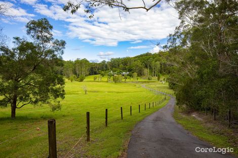 Property photo of 279 Seib Road Eumundi QLD 4562