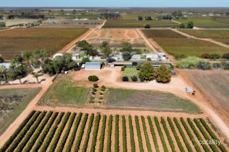 Property photo of 170 Dunstone Road Barmera SA 5345