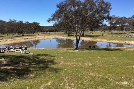 61 Wilson Rd, Windeyer, NSW 2850