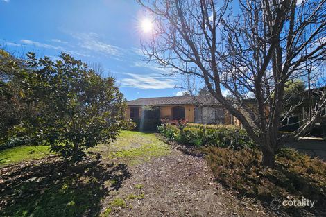 17 Brigalow Ct, Thurgoona, NSW 2640
