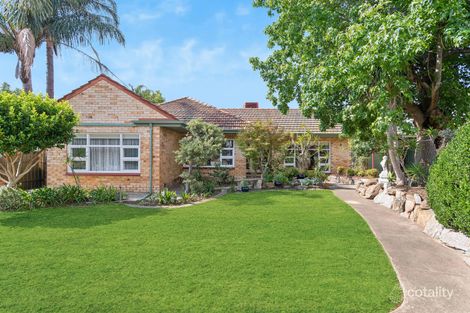 Property photo of 6 Noble Avenue Lockleys SA 5032