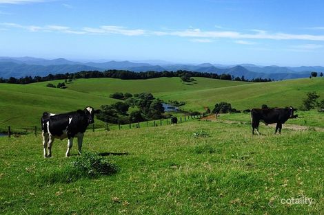 5287 Waterfall Way, Fernbrook, NSW 2453