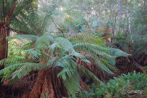 220 Hastings Caves Rd, Hastings, TAS 7109