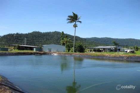 Property photo of 1034 Silkwood Japoon Road Japoonvale QLD 4856