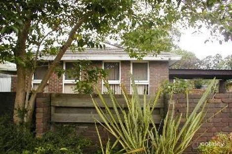 81 Shady Gr, Forest Hill, VIC 3131