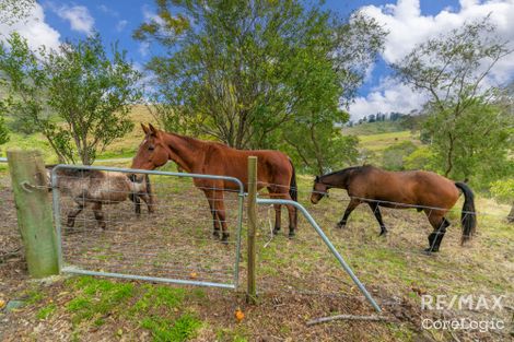 Property photo of 515 Newman Lane Delaneys Creek QLD 4514