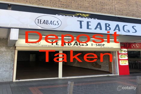 4/117 John St, Cabramatta, NSW 2166