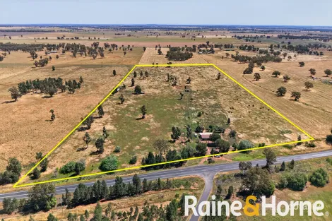 4617 Newell Hwy, Peak Hill, NSW 2869