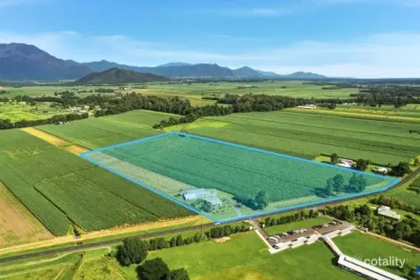 49 Crossland Rd, Gordonvale, QLD 4865