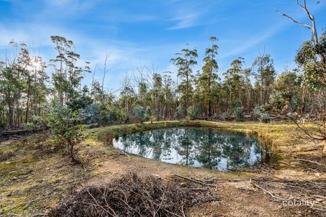 Property photo of 107A Inala Road Forcett TAS 7173