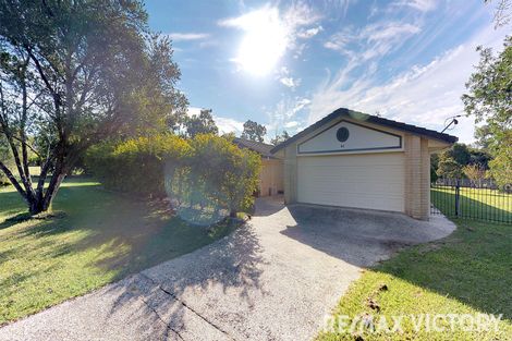 Property photo of 41 Harrow Court Caboolture QLD 4510
