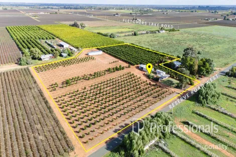 382 Reserve Rd W, Coomealla, NSW 2717