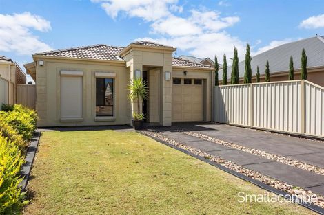 11 Shelley Ave, North Plympton, SA 5037