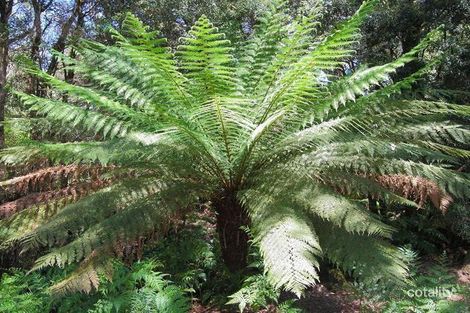 31 Hankins-Robertson Rd, Geeveston, TAS 7116