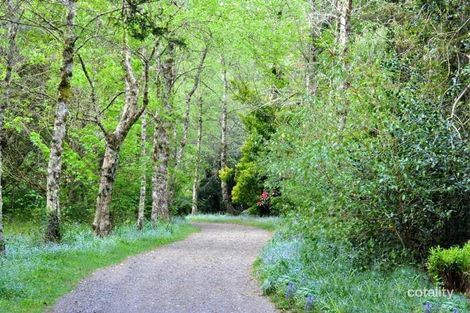 Property photo of 11-15 Farrer Road Mount Wilson NSW 2786