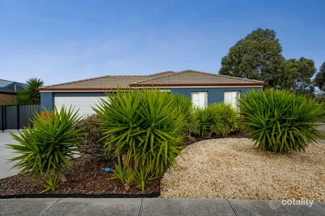 11 Vesper Ave, Tarneit, VIC 3029
