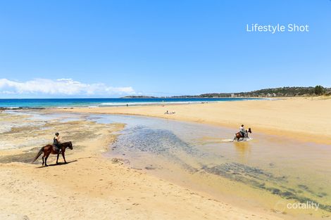 Property photo of 17 Indura Road North Narrabeen NSW 2101