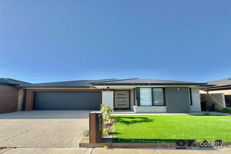 7 Sorbus St, Tarneit, VIC 3029