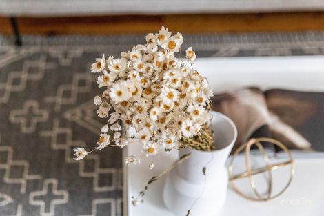 Property photo of 38 Moore Street Rozelle NSW 2039