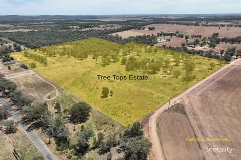 128r Minore Rd, Minore, NSW 2830