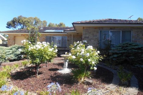Property photo of 31 Launceston Avenue Banksia Park SA 5091