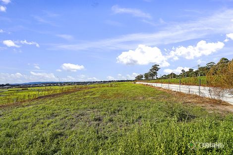 95 Ambassador Cct, Cranbourne South, VIC 3977