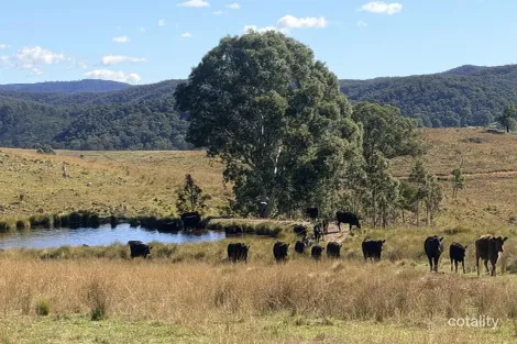 144 Longview Rd, Big Hill, NSW 2579