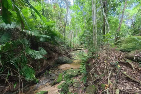 5 Sophia Cl, Fishery Falls, QLD 4871