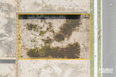 Property photo of 6 Killarney Lane Yarrabilba QLD 4207