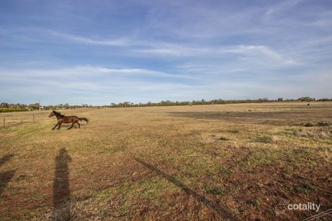 Property photo of 381 Stringer Road Merungle Hill NSW 2705