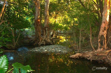 Property photo of 51R Crees Road Craiglie QLD 4877