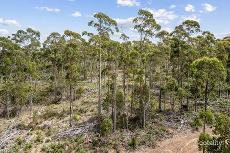 481 Priestleys Lane, Birralee, TAS 7303