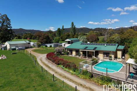 51 Loop Rd, Glengarry, TAS 7275